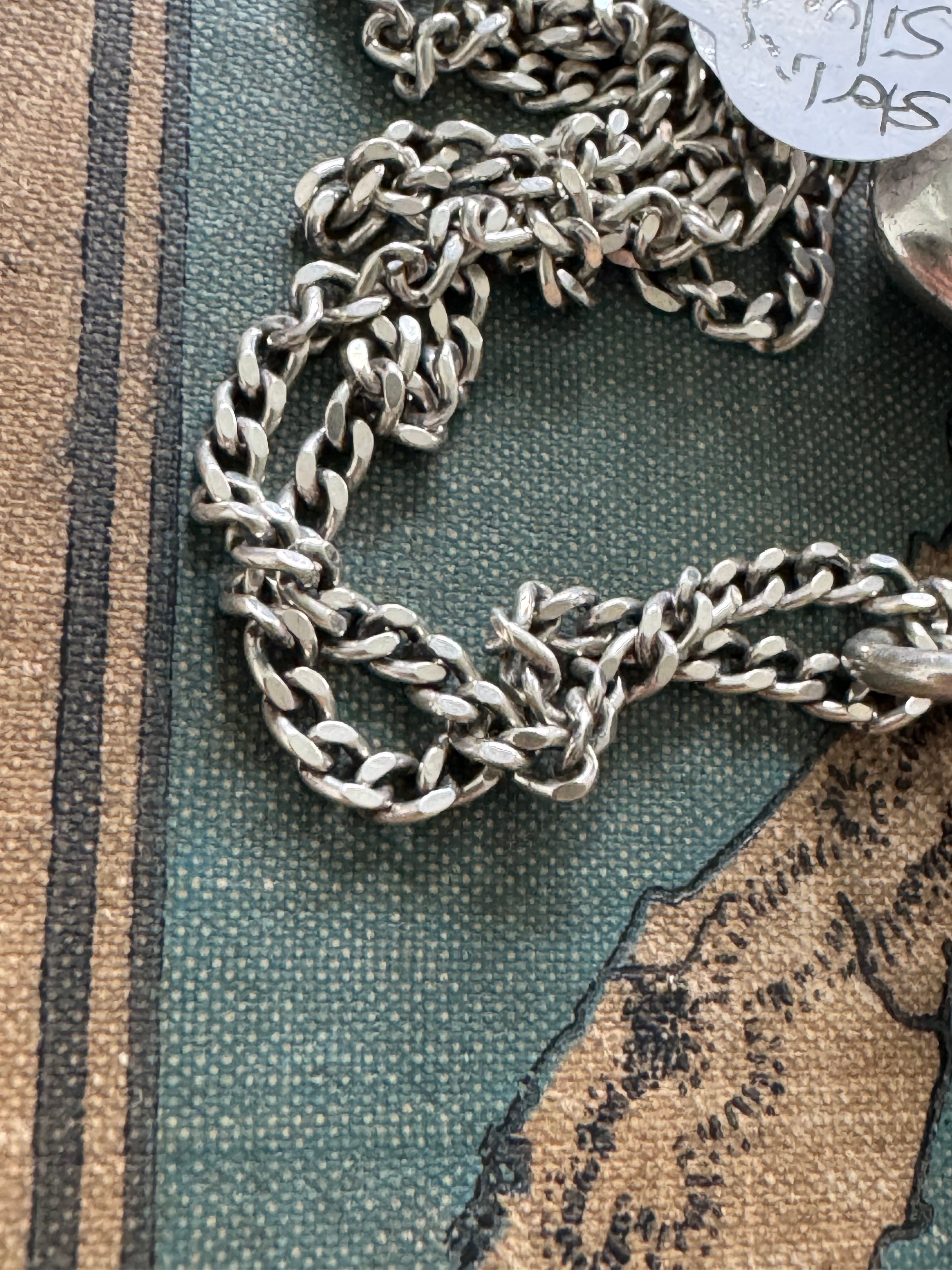 Antique Sterling Vesta Case & Curb Link Chain