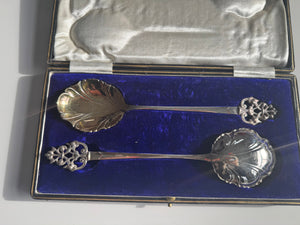 Stunning Server Spoons Quality Antique Boxed Set EPNS