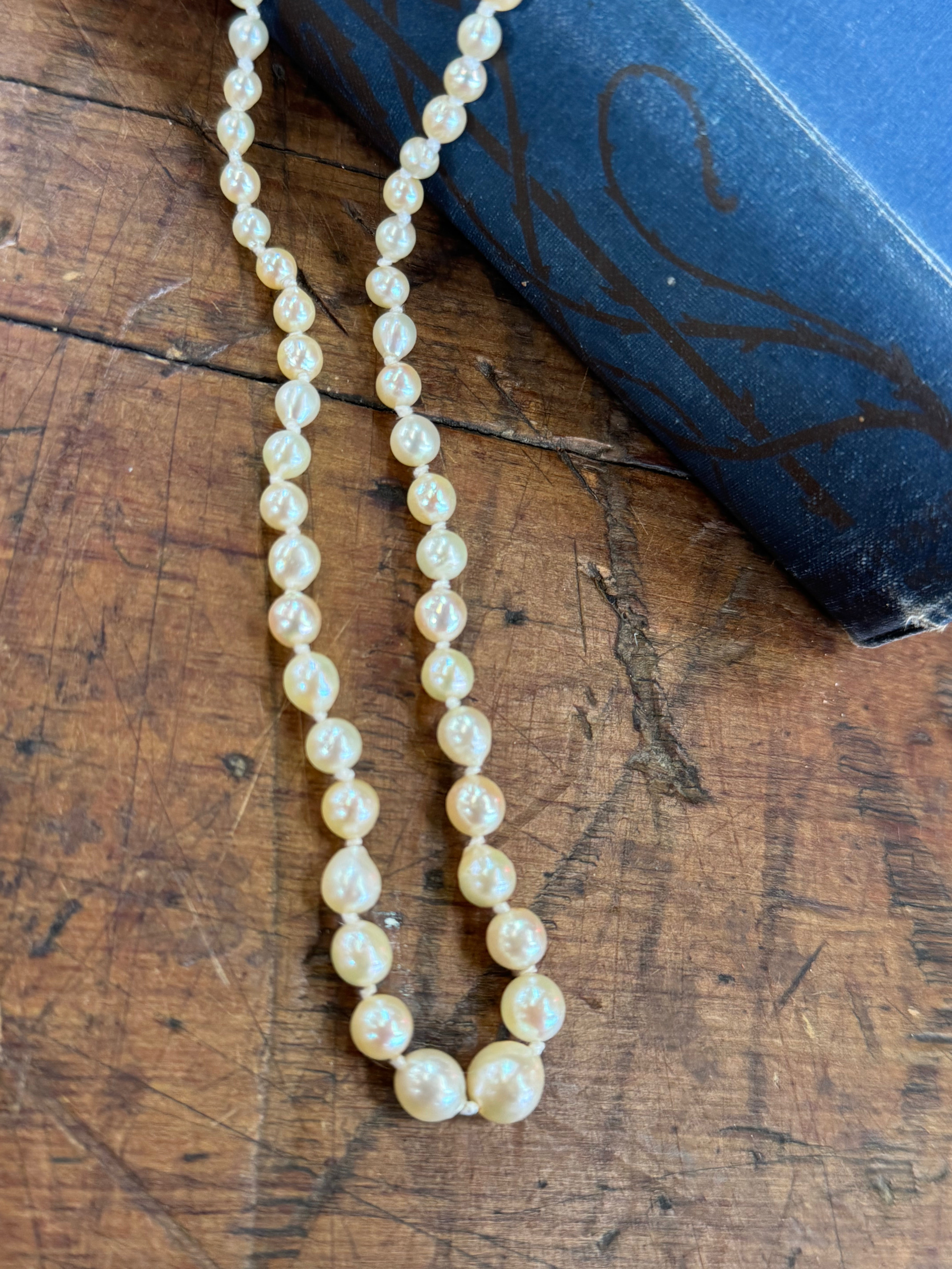 Sea Water Pearls Graduated 26cm Length Cream in colour Knotted