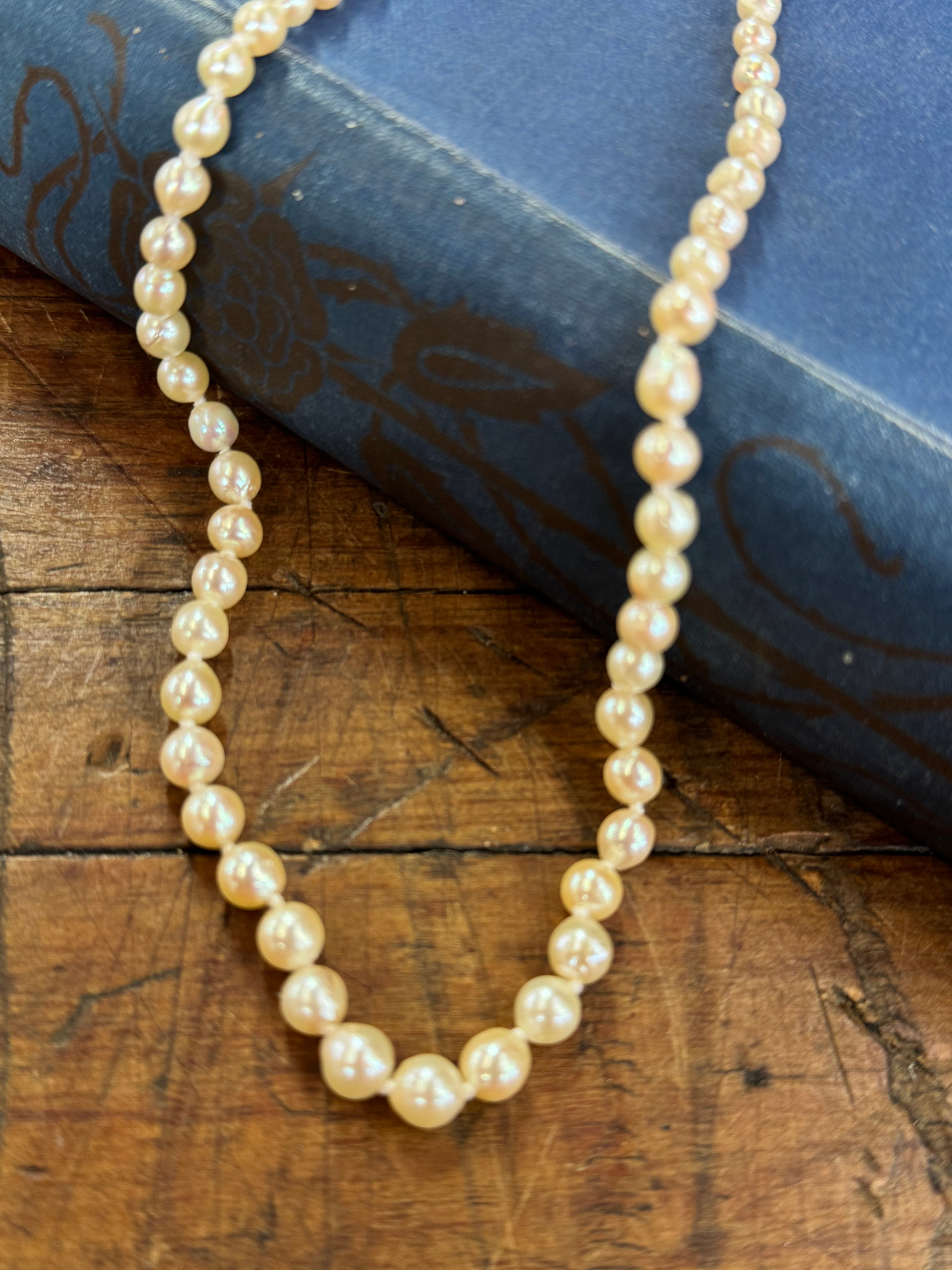 Sea Water Pearls Graduated 22.5cm Length Cream in colour Knotted