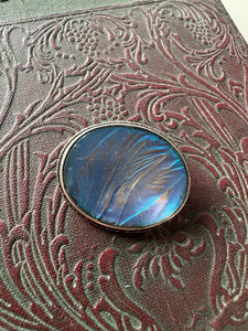 Sterling Silver Butterfly Wing Brooch