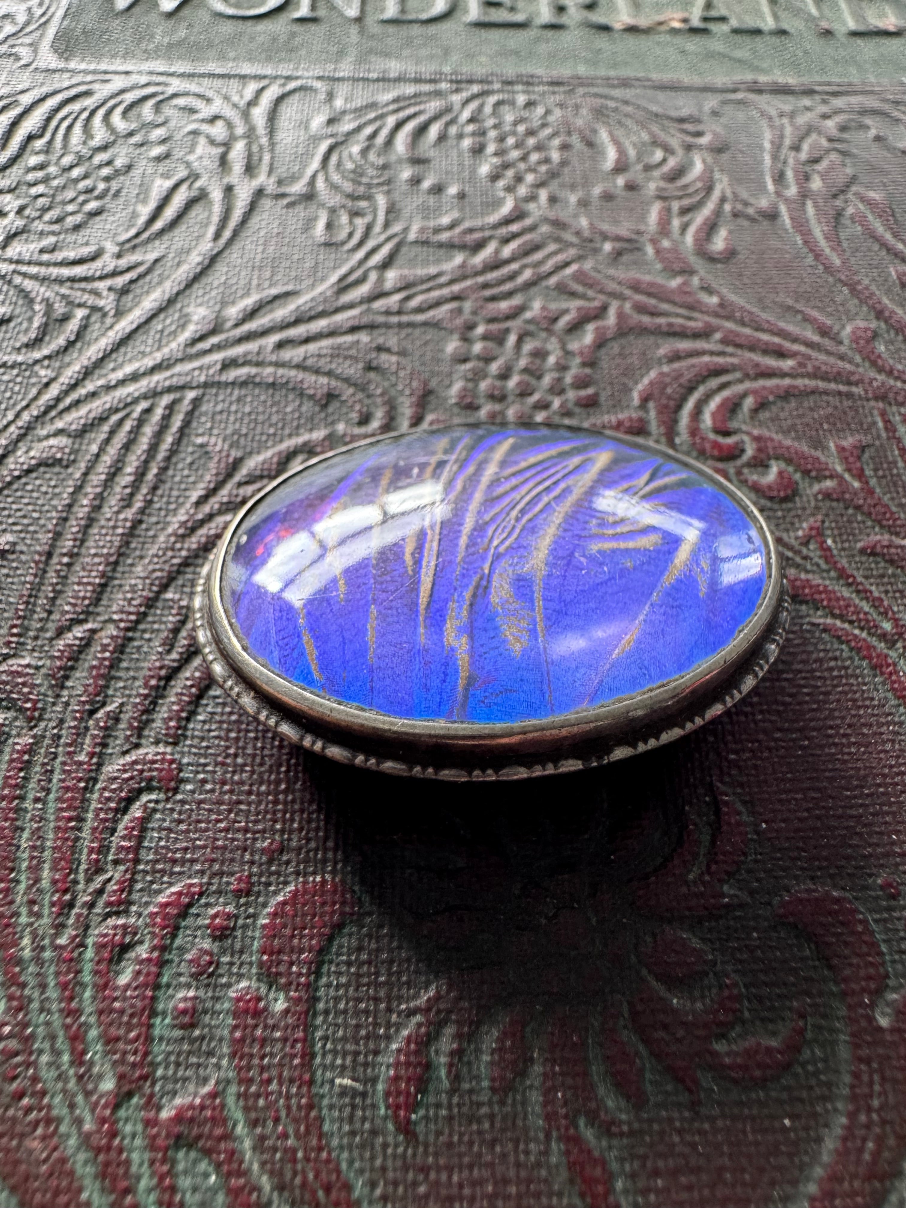 Sterling Silver Butterfly Wing Brooch