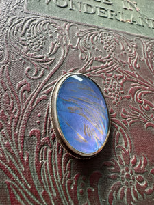 Sterling Silver Butterfly Wing Brooch