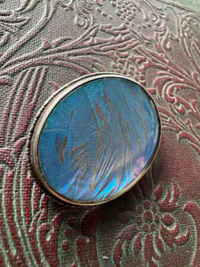 Sterling Silver Butterfly Wing Brooch