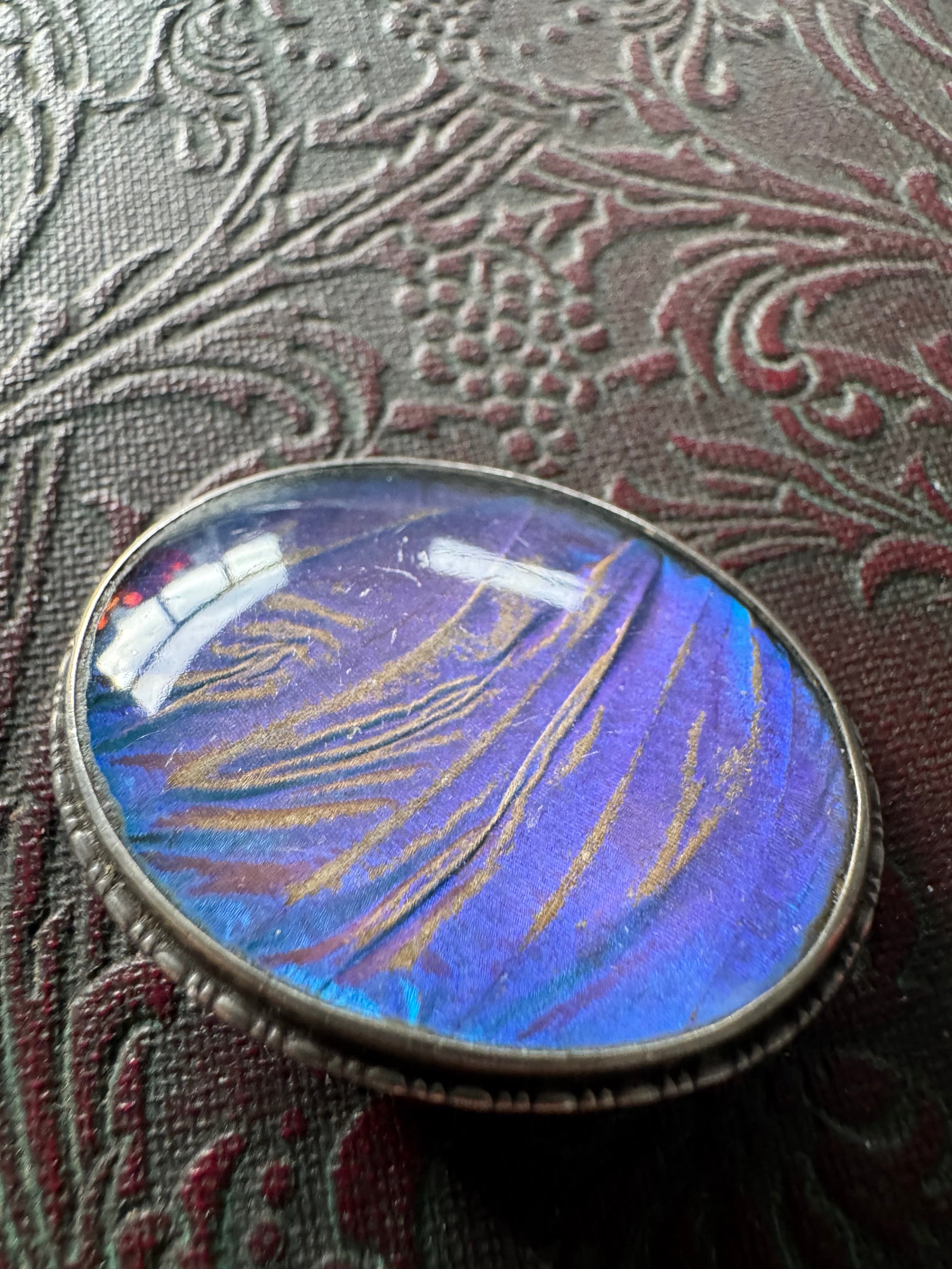 Sterling Silver Butterfly Wing Brooch