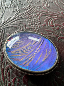 Sterling Silver Butterfly Wing Brooch