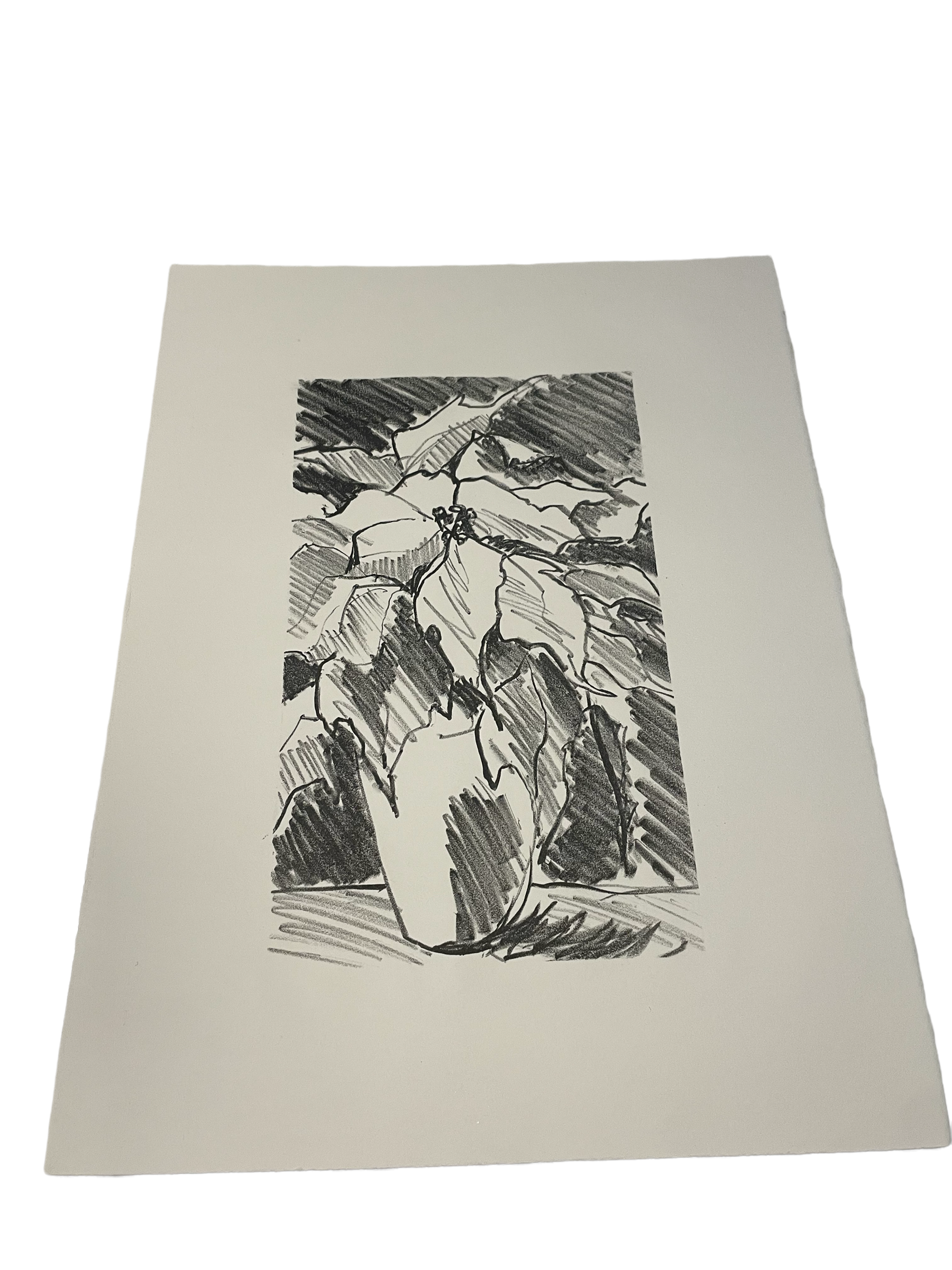 JILL HENRIOD ORIGINAL POTTED FLOWER UNSIGNED