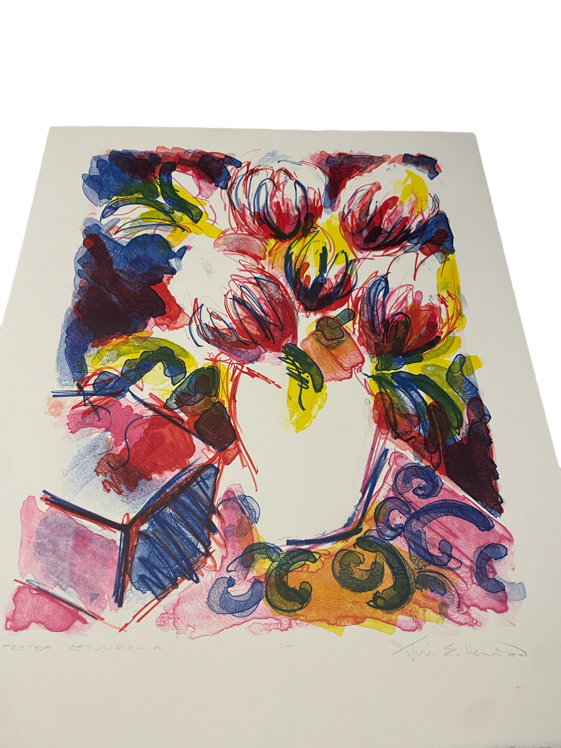 JILL HENRIOD ORIGINAL PROTEA OBTUSIFOLIA LIMITED 1/20 SIGNED