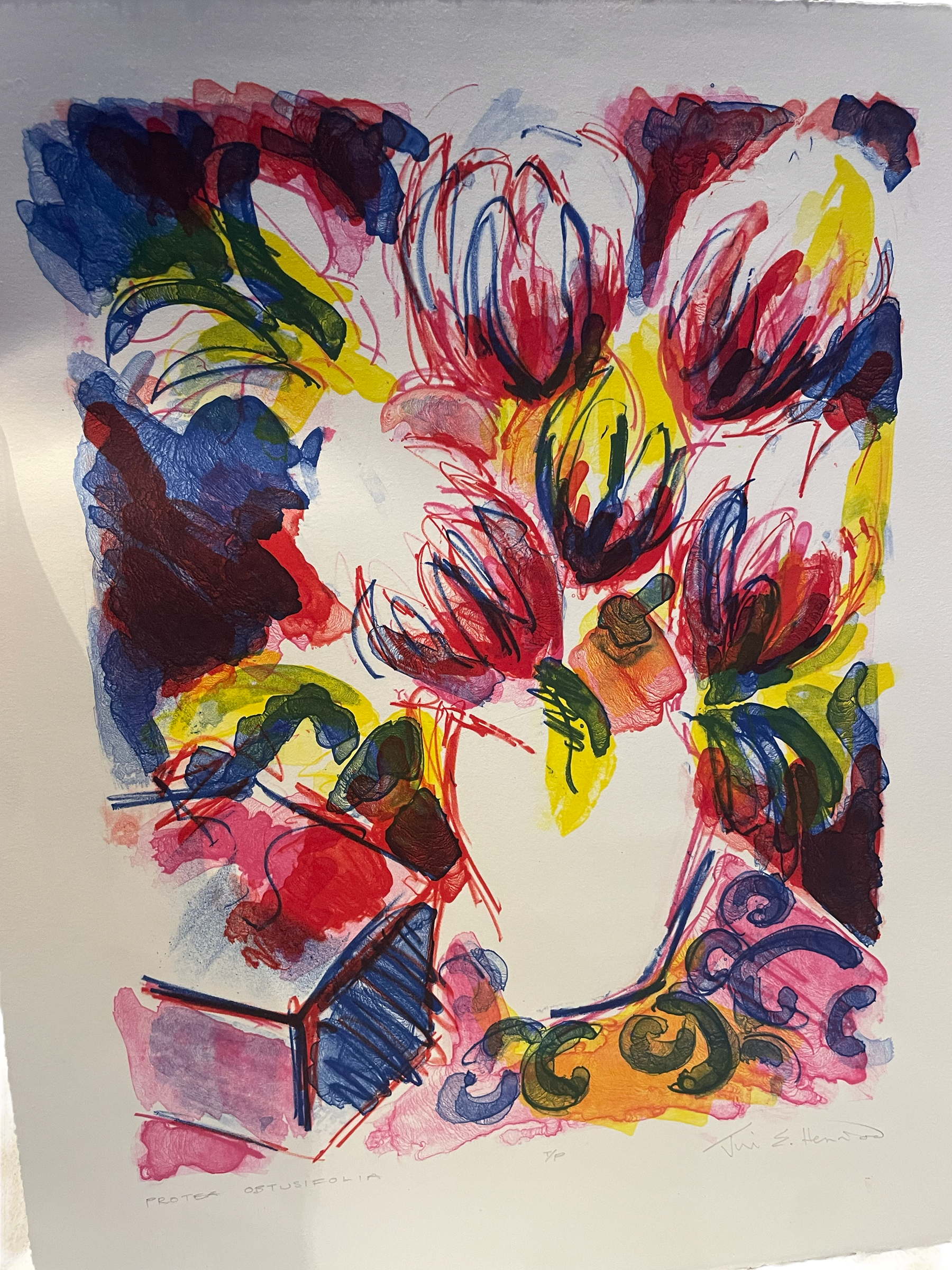 JILL HENRIOD ORIGINAL PROTEA OBTUSIFOLIA LIMITED 1/20 SIGNED